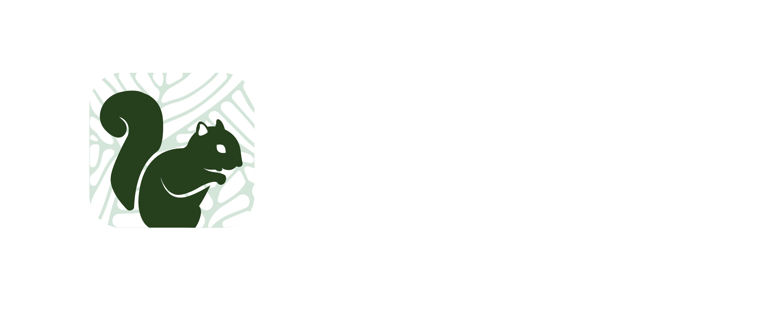 Guayacanal Blanco