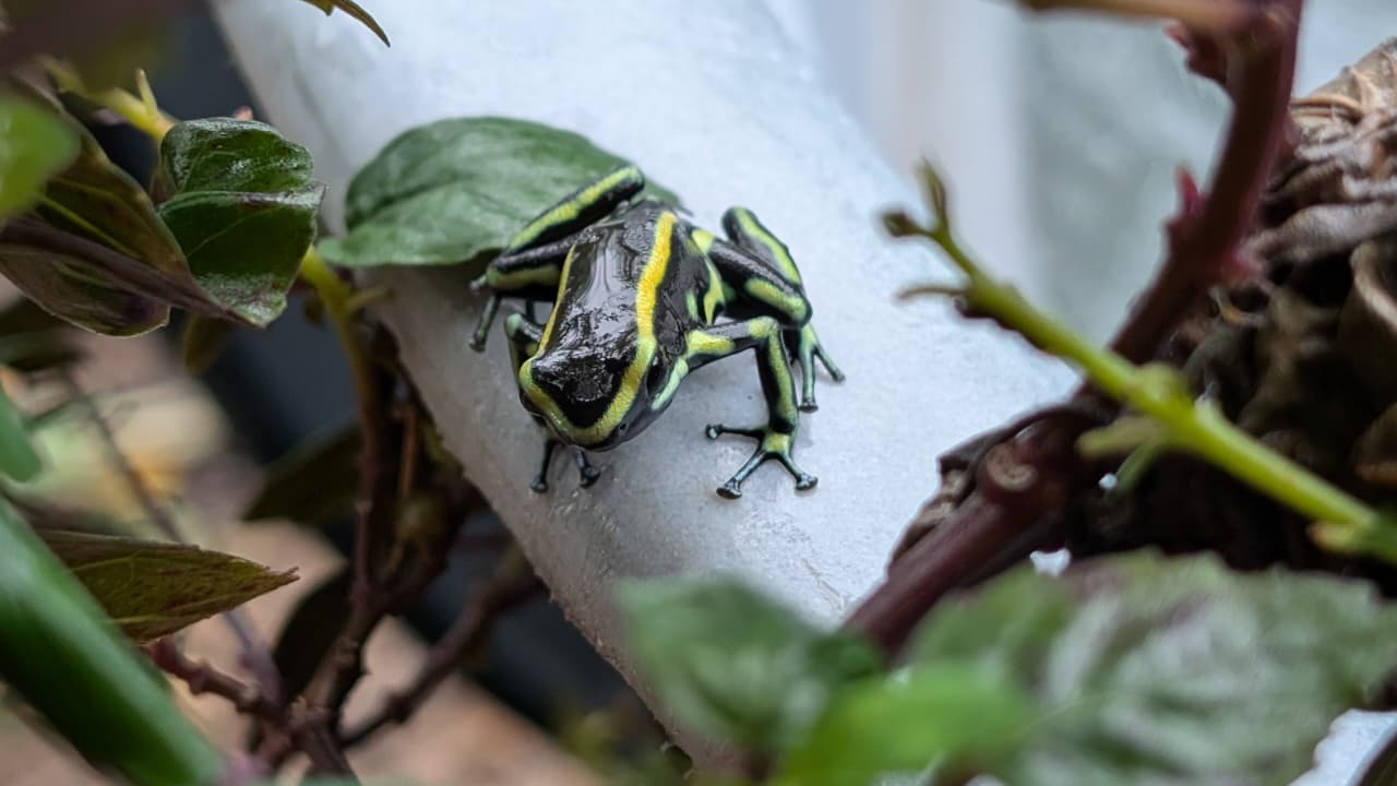 WhatsApp Image 2025-09-30 at 05.23.46 (5)