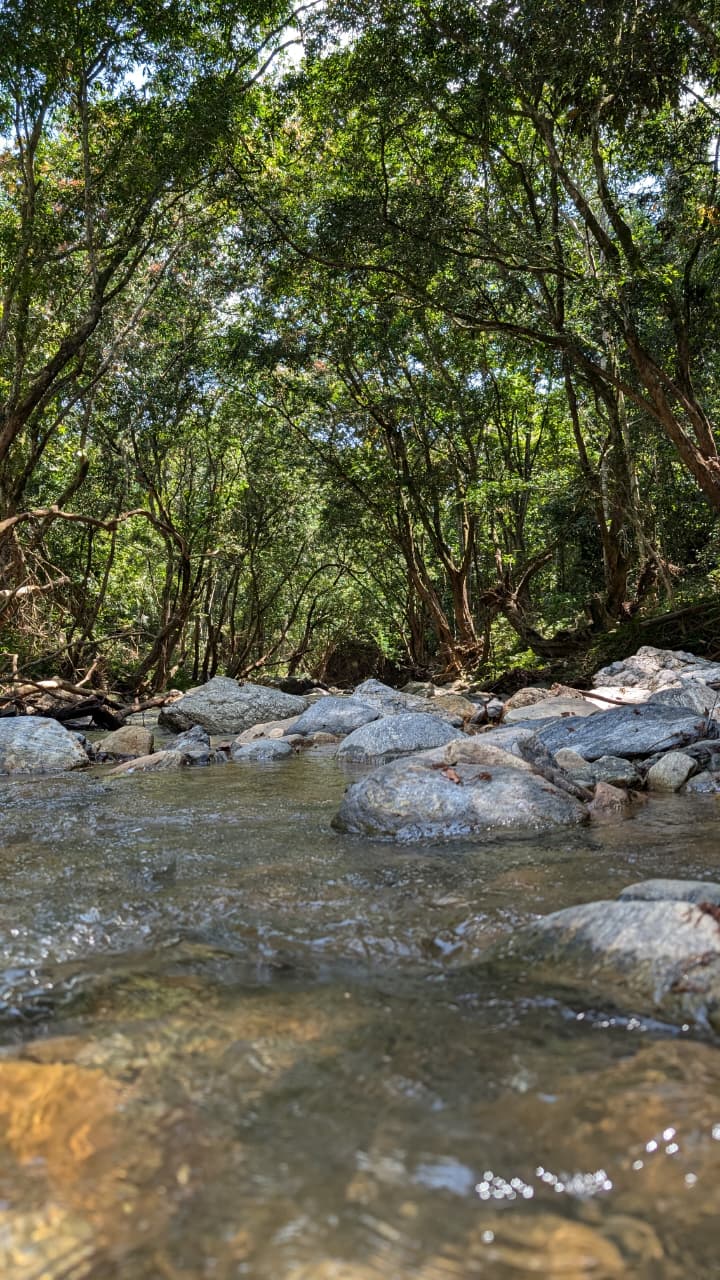 WhatsApp Image 2025-09-30 at 05.23.46 (6)