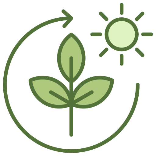 photosynthesis_10004463