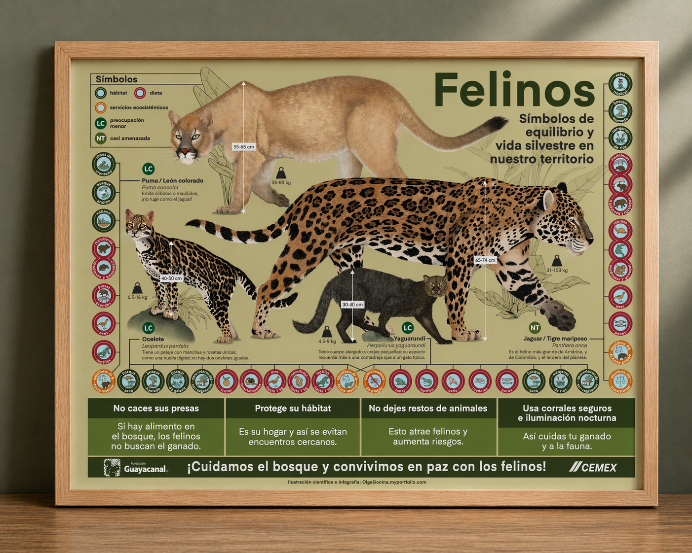 Poster felinos